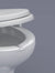 Stabilized Toilet Seat