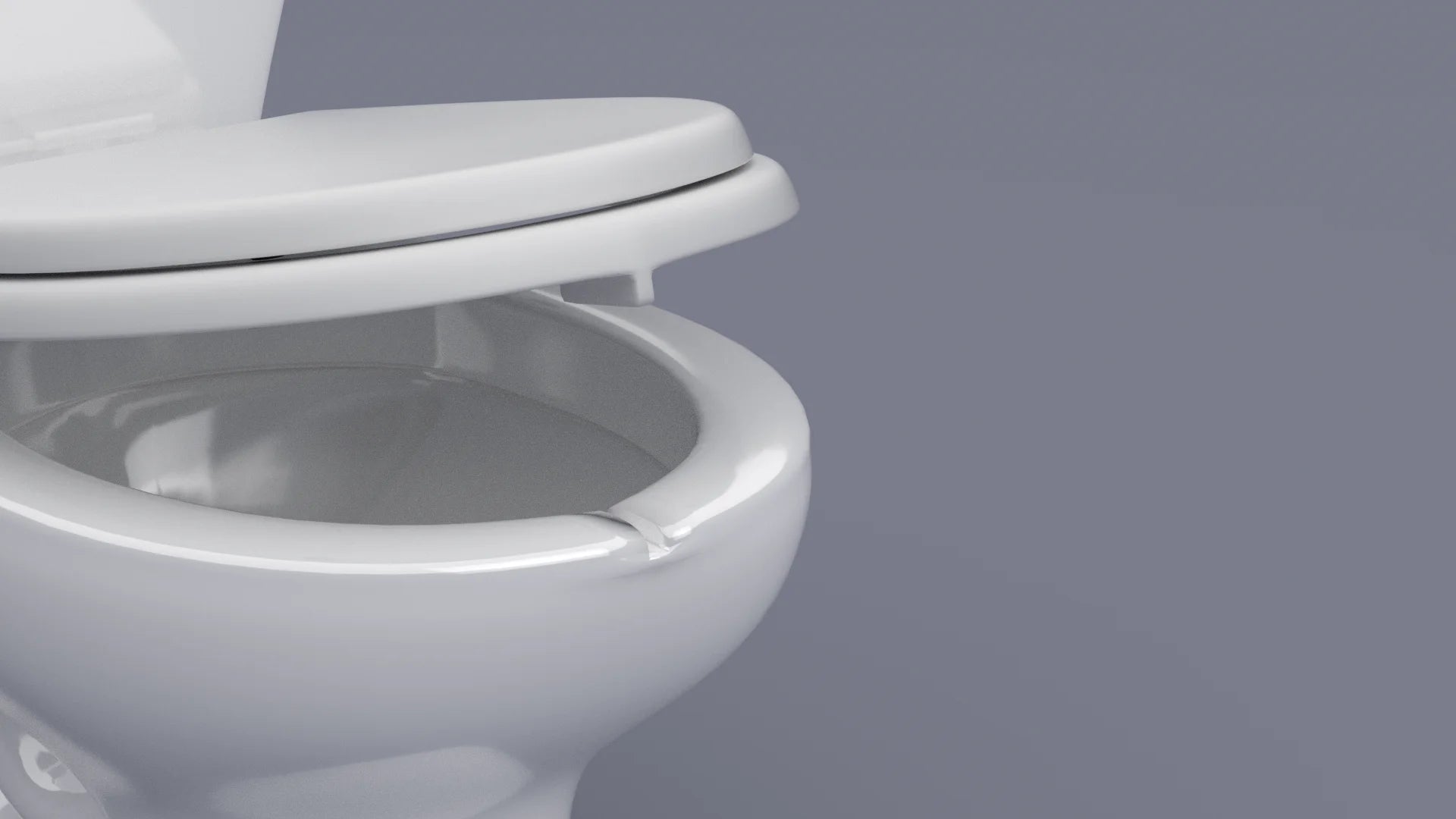 Stabilized Toilet Seat