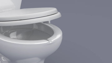 Stabilized Toilet Seat
